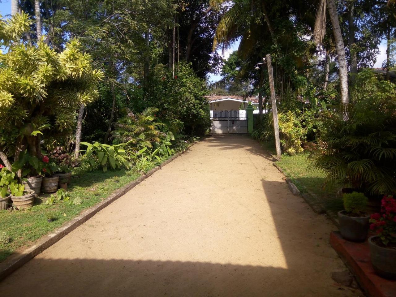 Shenya Villa Bentota Ngoại thất bức ảnh