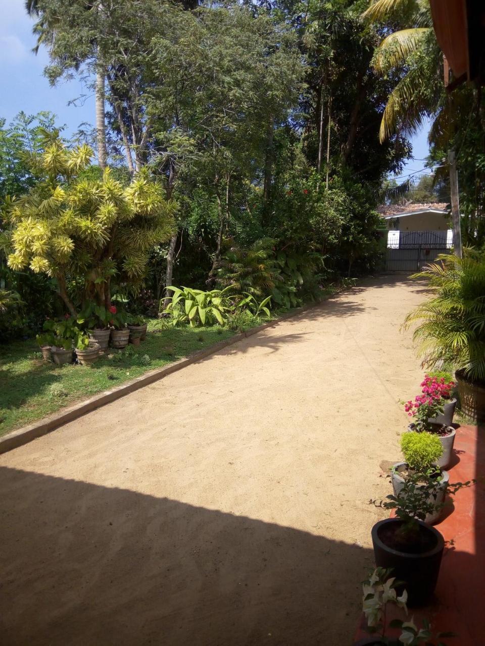 Shenya Villa Bentota Ngoại thất bức ảnh