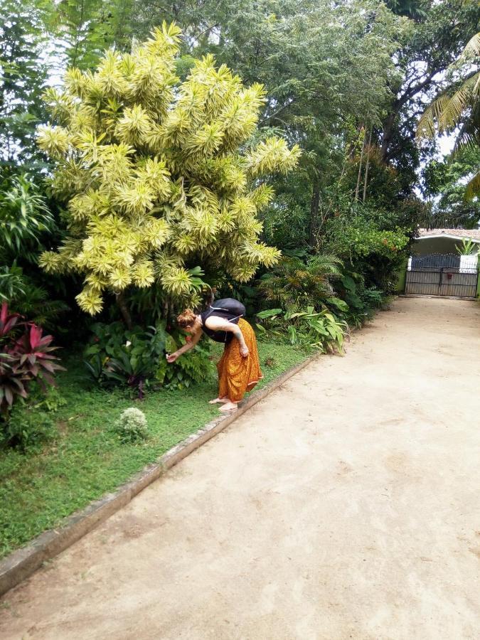 Shenya Villa Bentota Ngoại thất bức ảnh